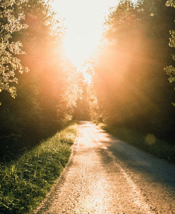 persönlichkeitsentwicklung